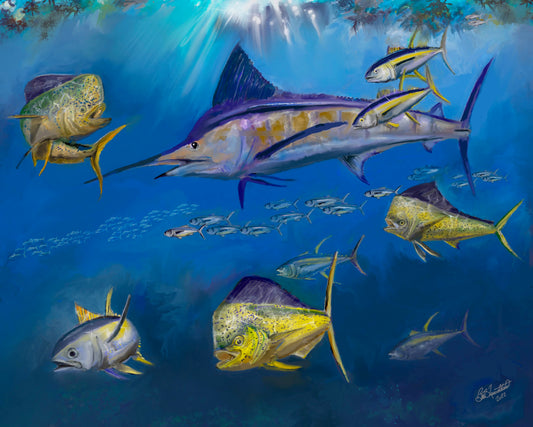 Blue Marlin Encounter