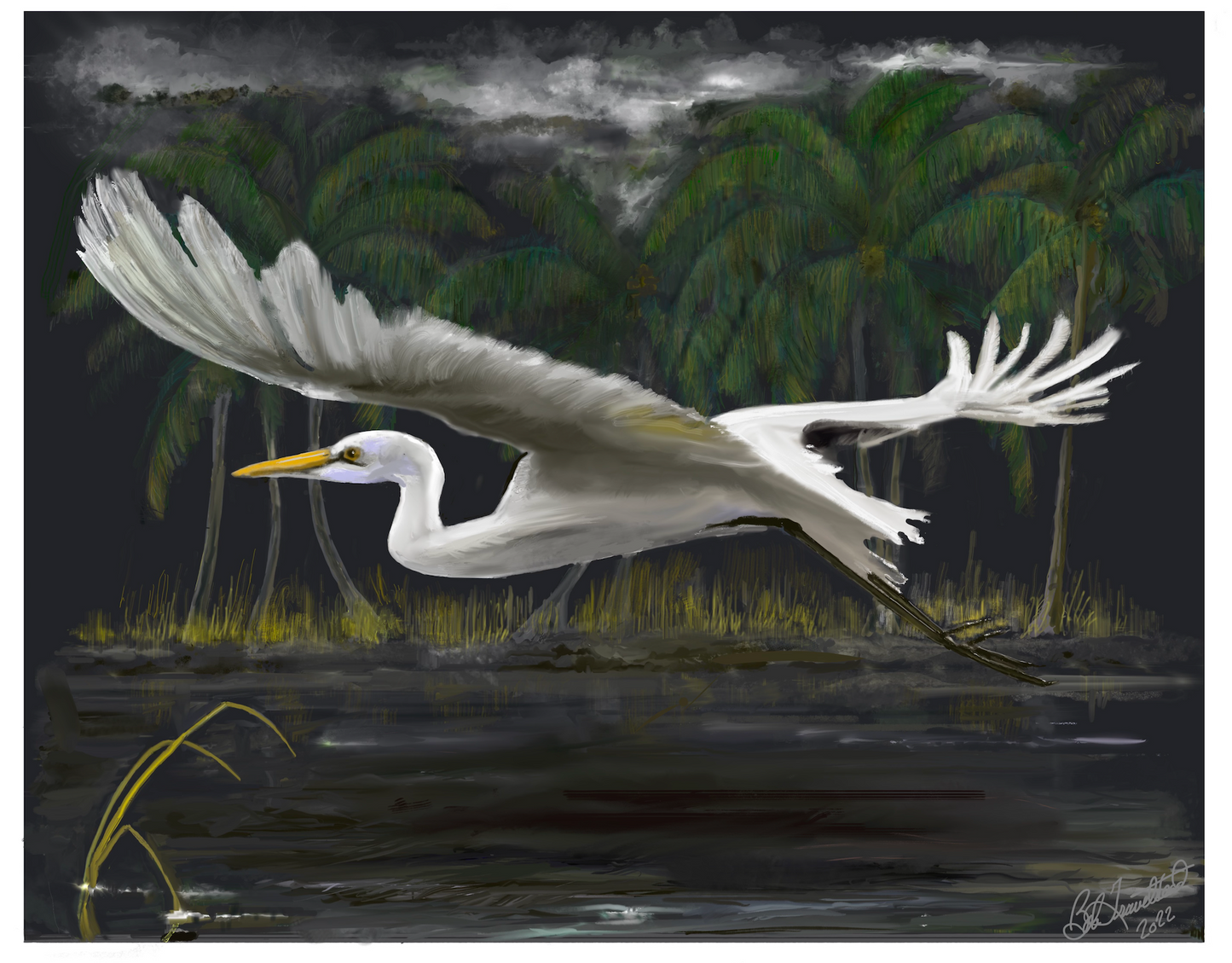 Great White Heron