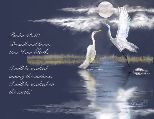 Silent Night White Herons